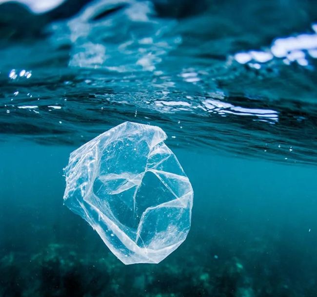 Microplastiche trovate anche nei remoti ed incontaminati fiordi della Patagonia cilena